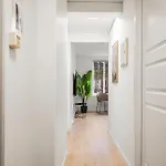 Center, Light & Modern *